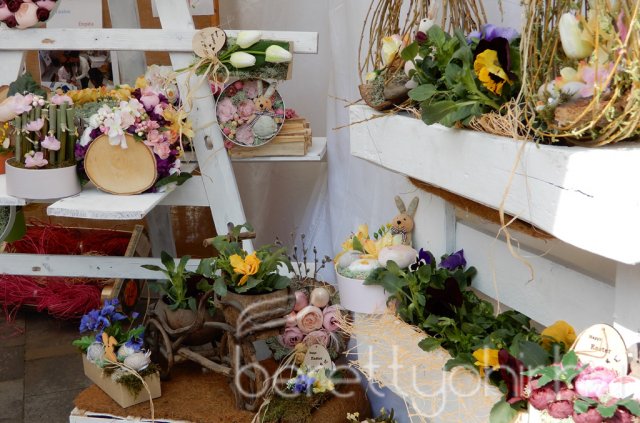 Szakmavilág roadshow Berettyóújfaluban 42